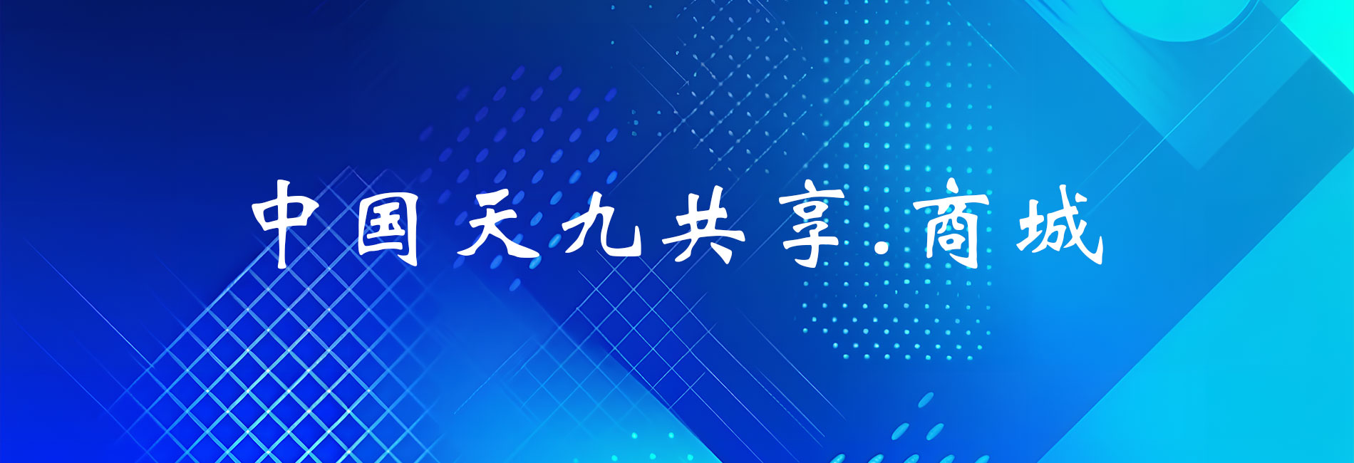 中国天九共享.商城